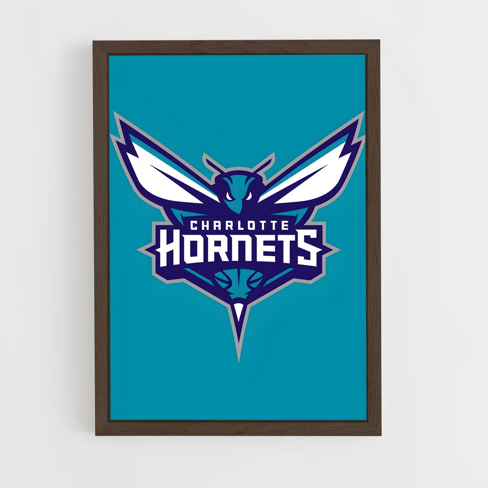 Poster Charlotte's Vibe – affiche Basketball (vue 5)